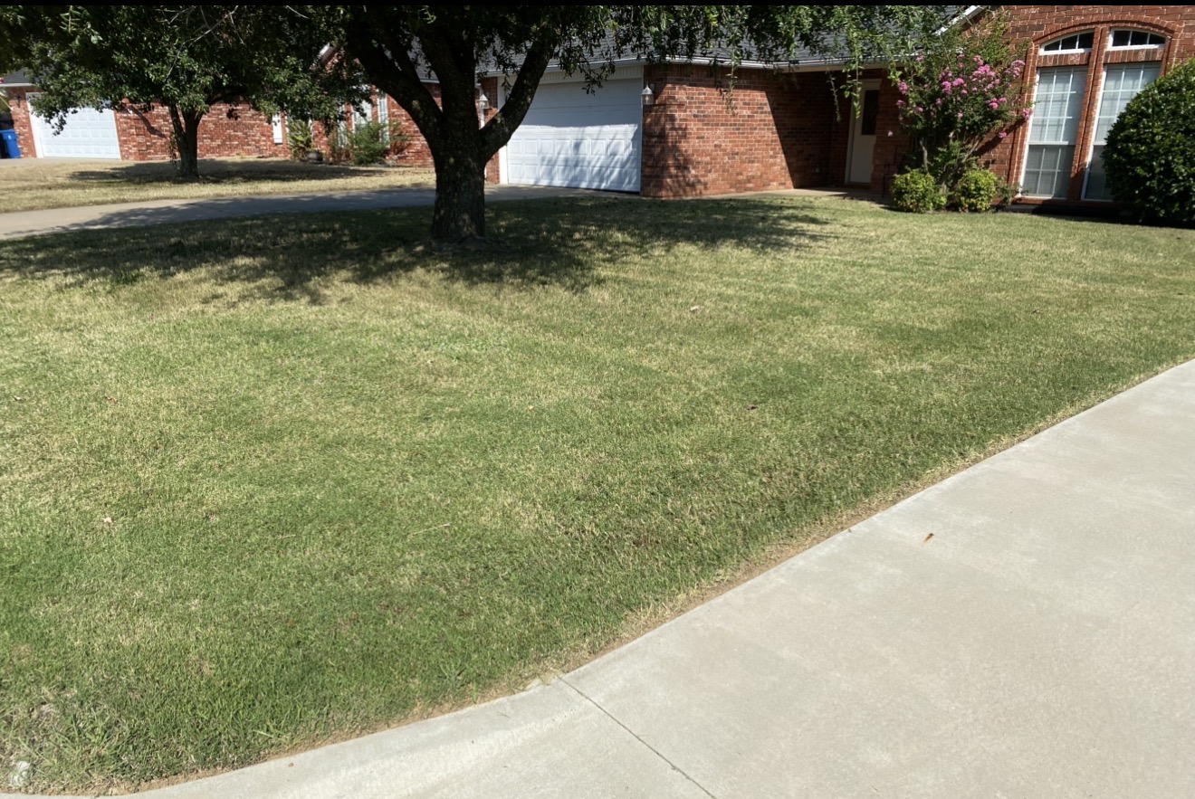 Residential Lawn Service